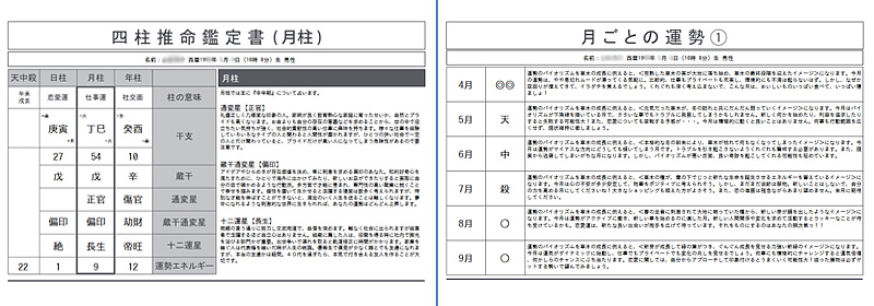 推命NAVI｜説明文付き鑑定書